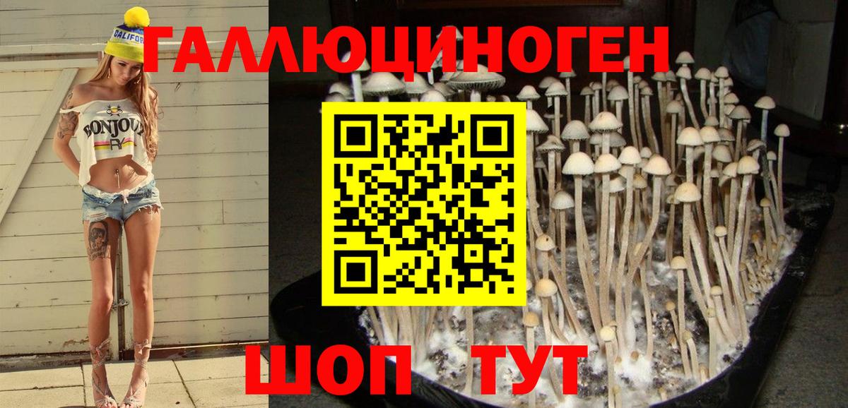 Галлюциногенные грибы GOLDEN TEACHER  Вход с VPN  Псилоцибиновые грибы GOLDEN TEACHER  Камень-на-Оби 