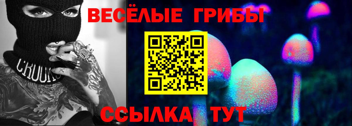 Галлюциногенные грибы GOLDEN TEACHER Камень-на-Оби